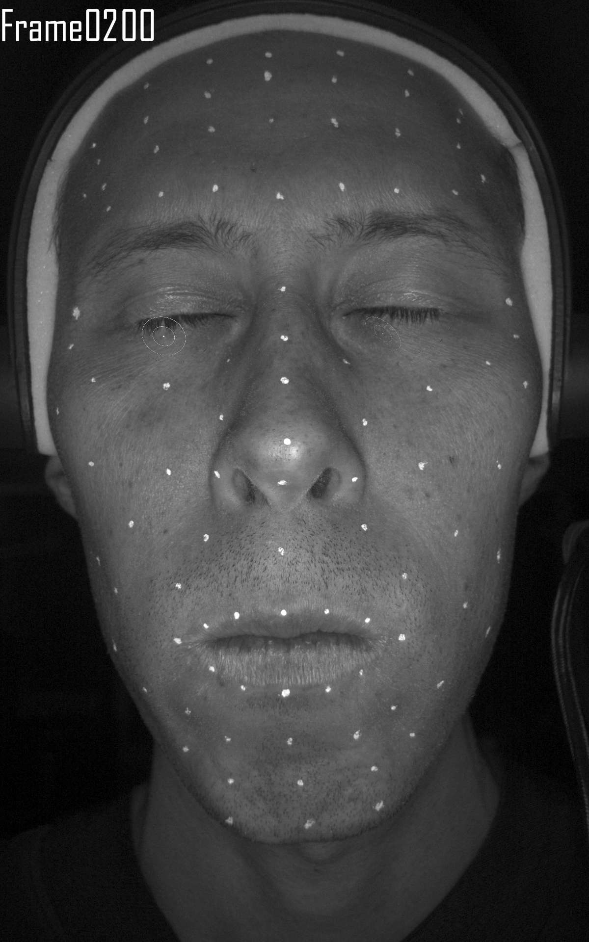 ../../_images/ClosedEyesFrame200.jpg