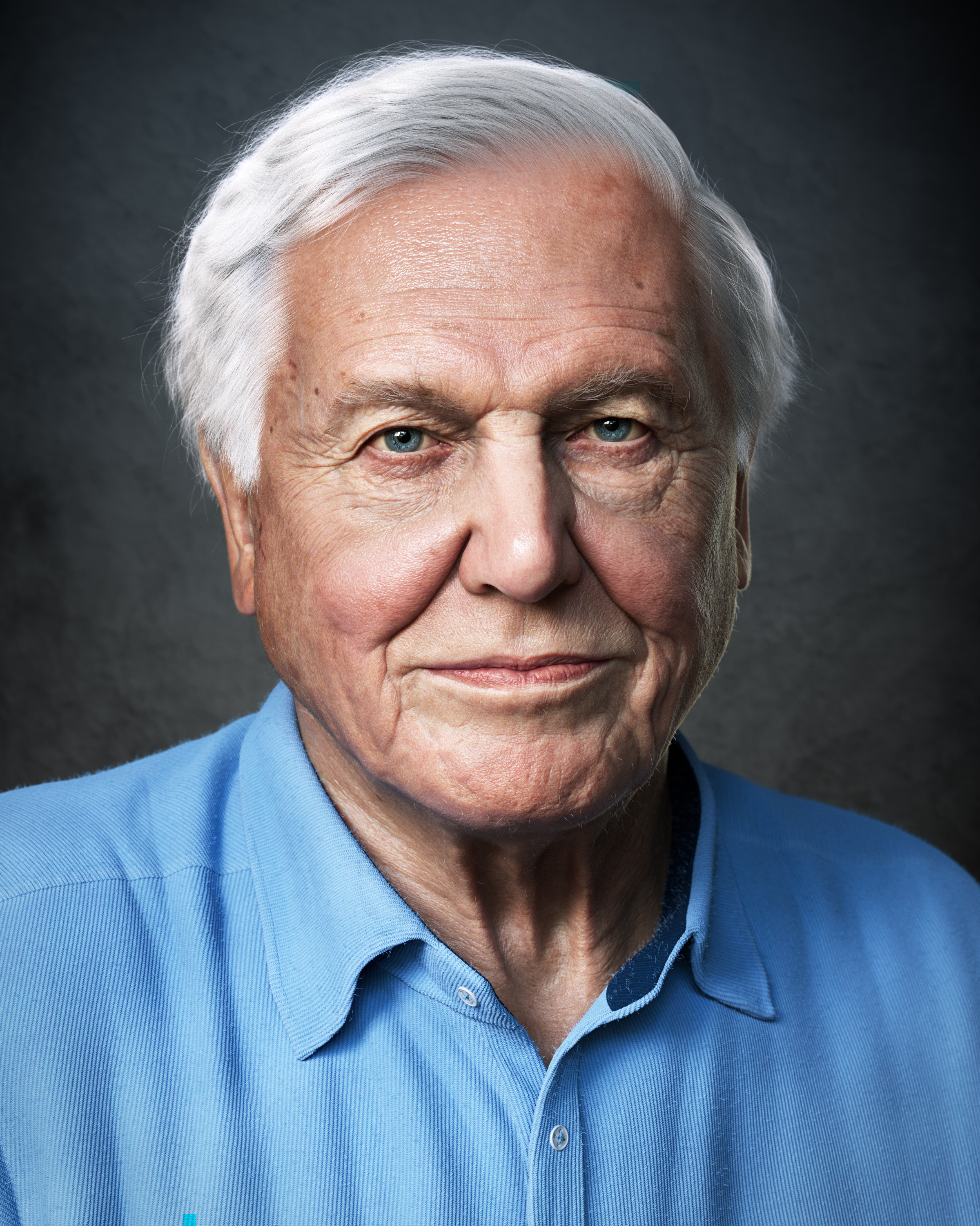 adam-spring-portrait-tex