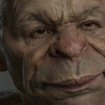Webp.net-resizeimage (7)